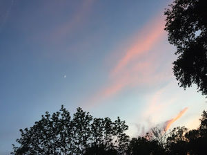 Meet your Posher, Ambar